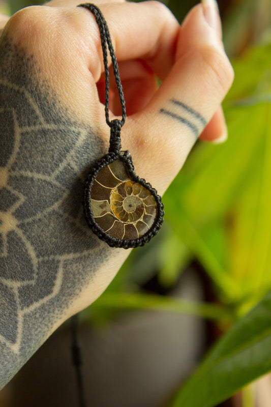 Ammonite macrame necklace