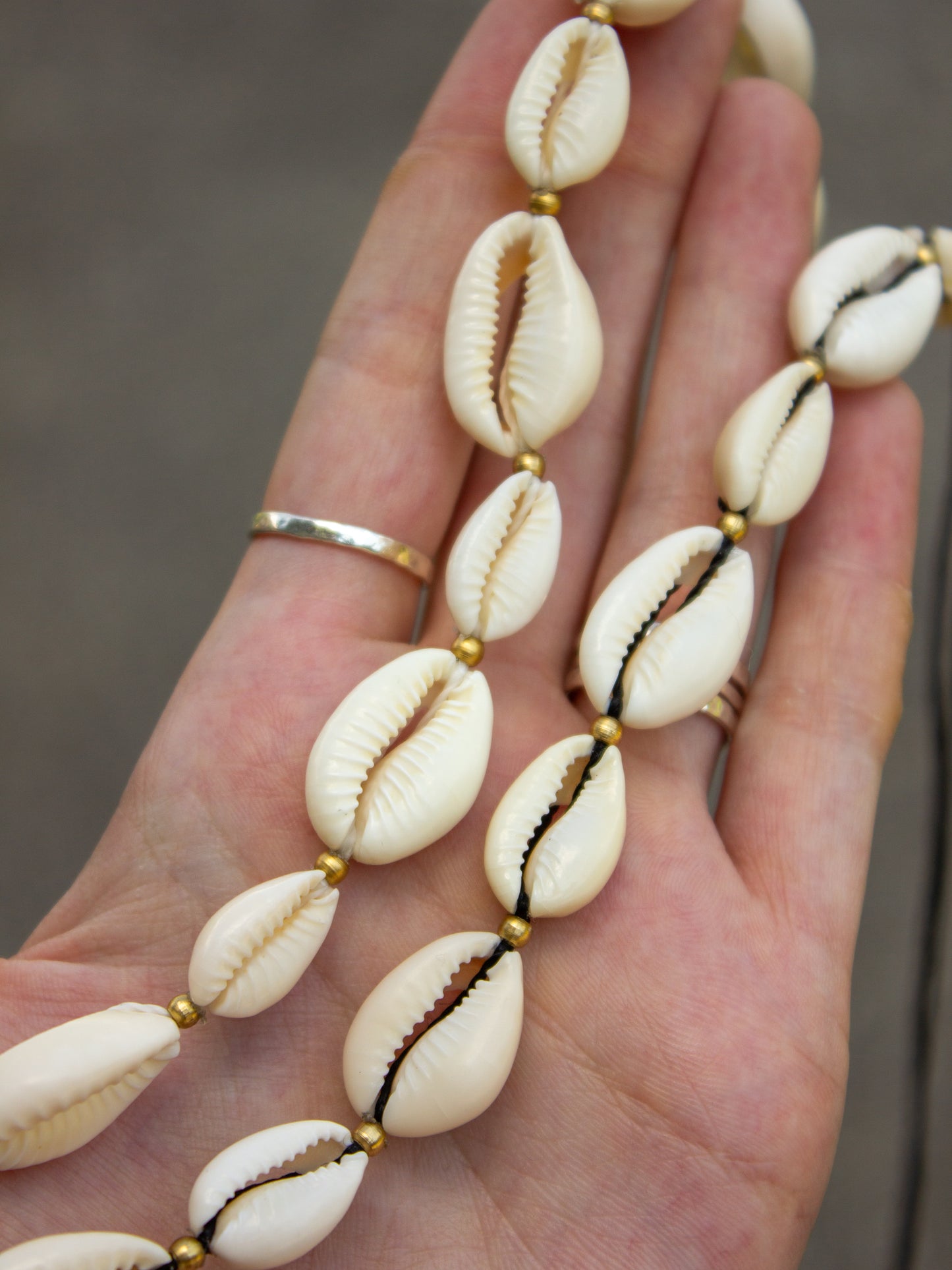 cowrie shell & brass necklace