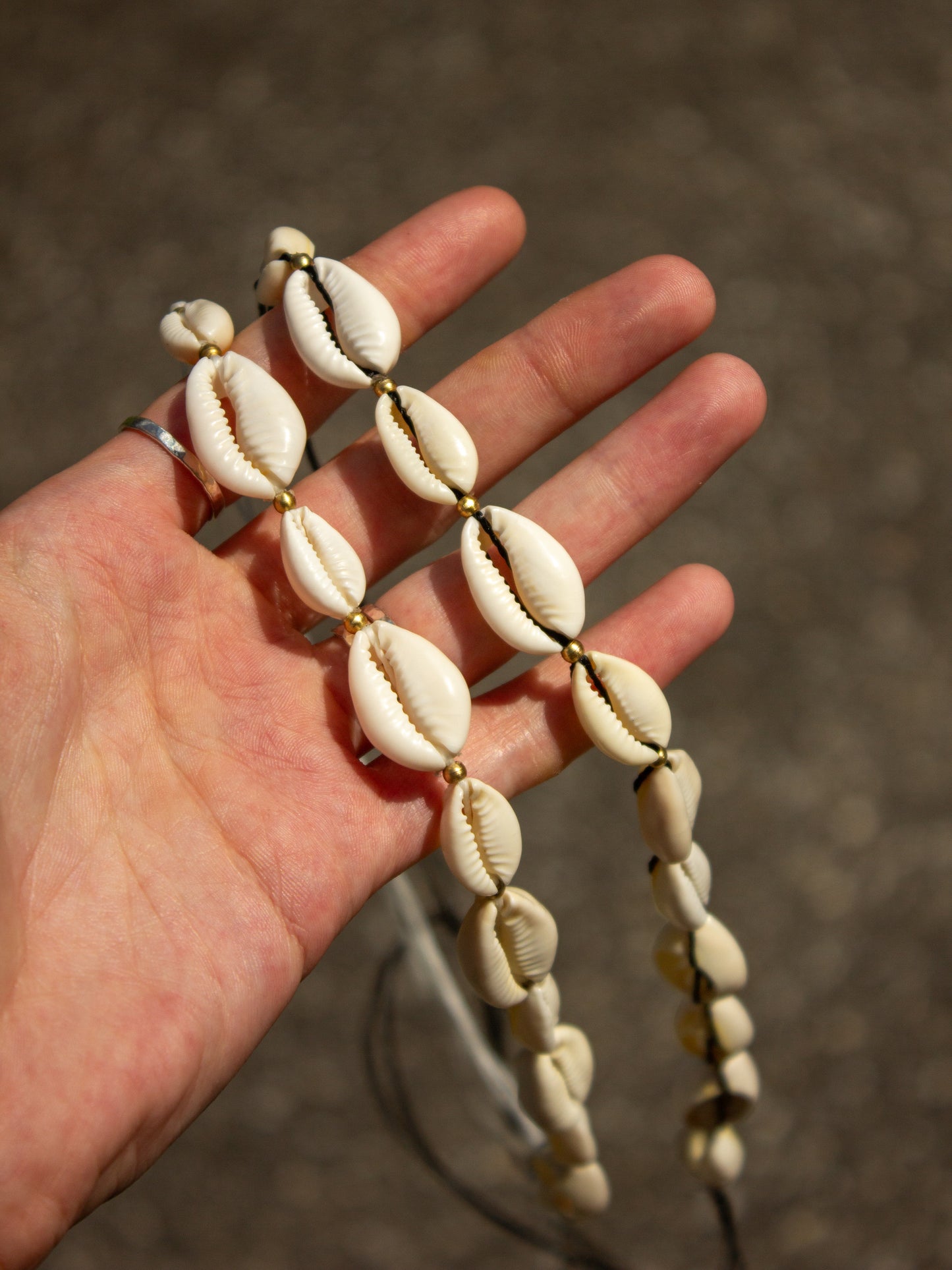cowrie shell & brass necklace