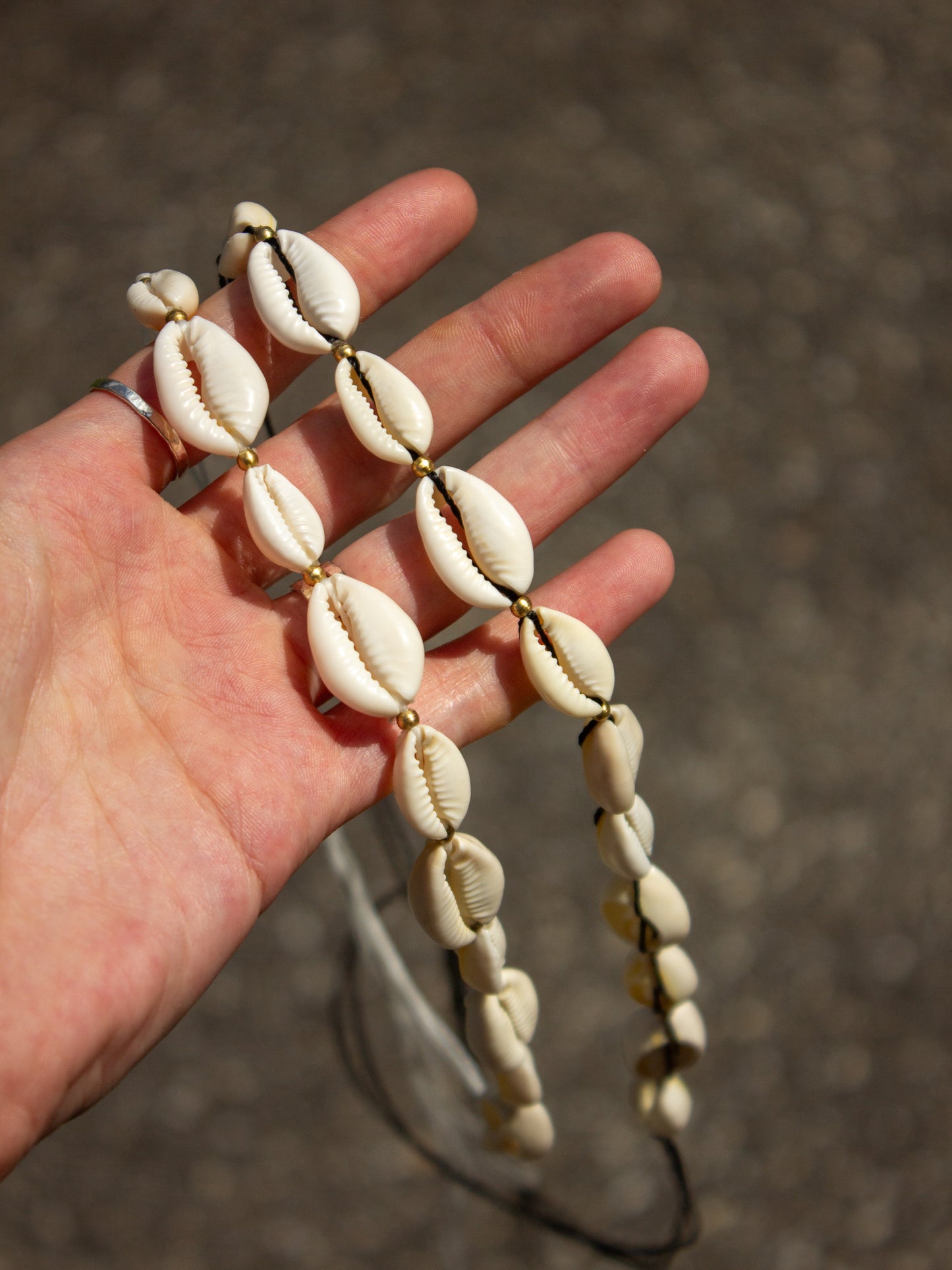 cowrie shell & brass necklace