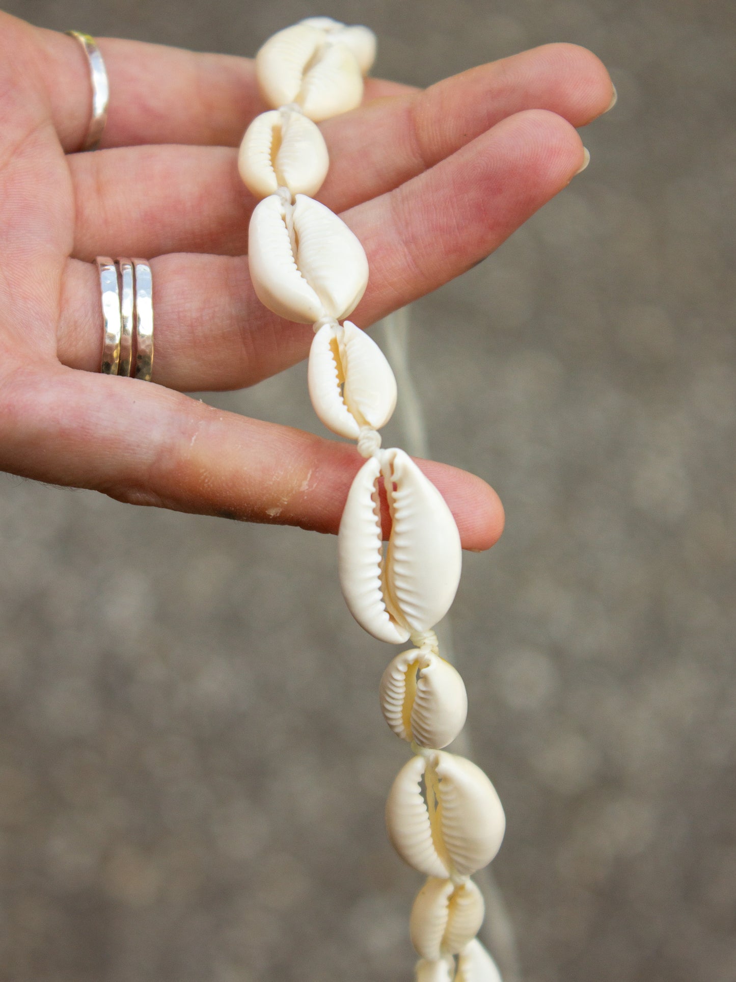 cowrie shell necklace
