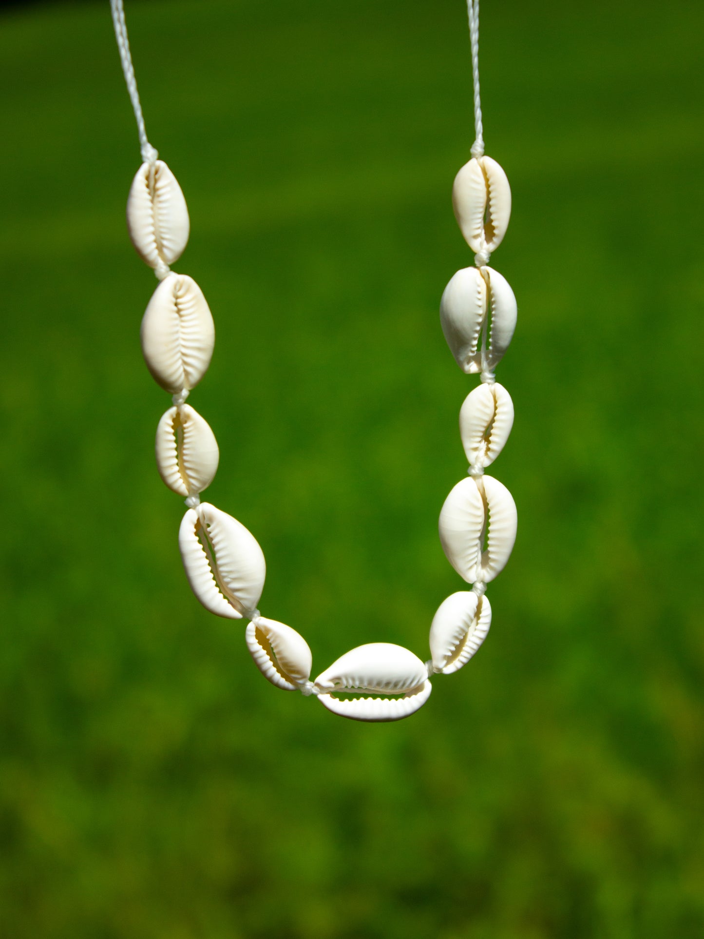 cowrie shell necklace