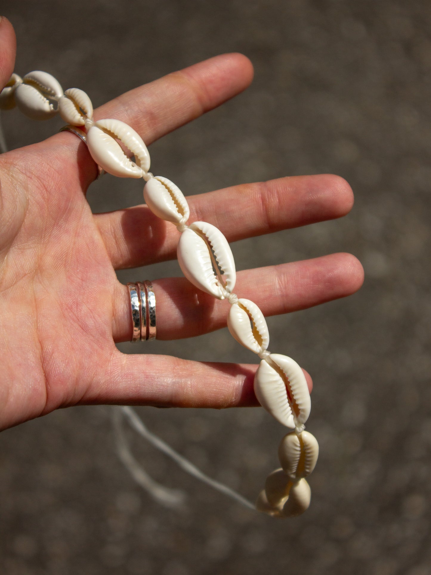 cowrie shell necklace