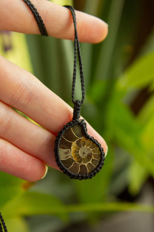 Ammonite macrame necklace