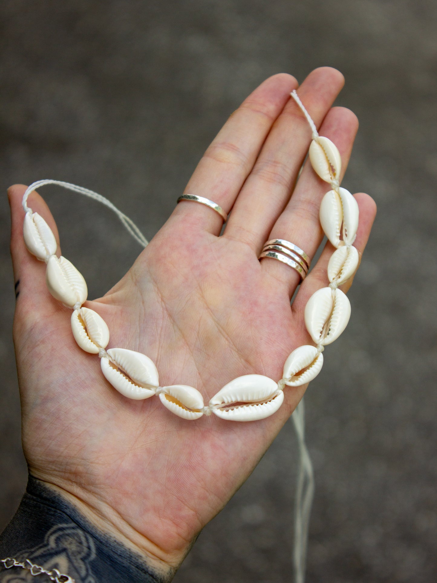 cowrie shell necklace