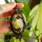 Sydney • Labradorite macrame necklace