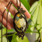 Sydney • Labradorite macrame necklace